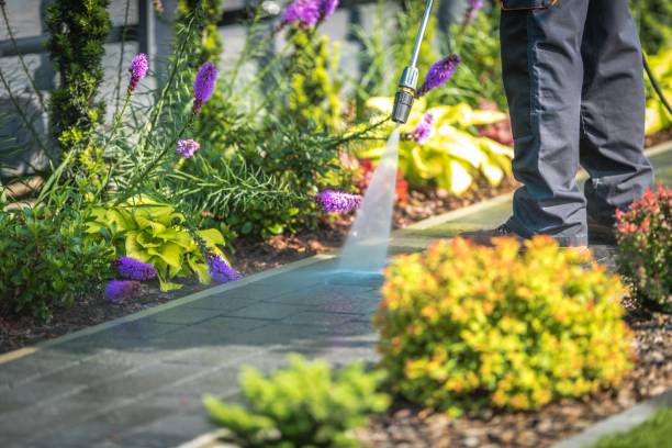 Best Boat and Dock Cleaning  in Waterville, MN