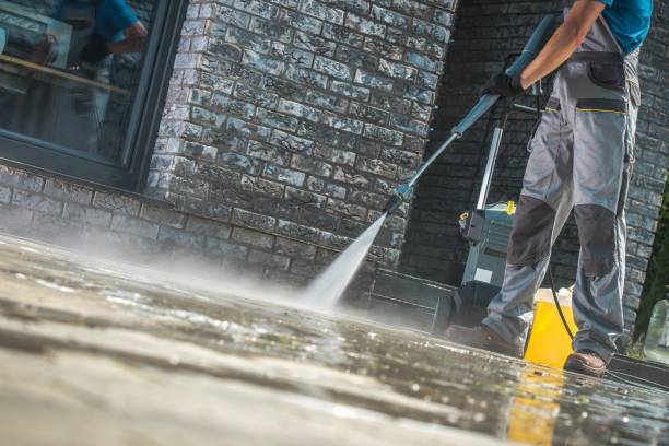 Best Roof Washing  in Waterville, MN