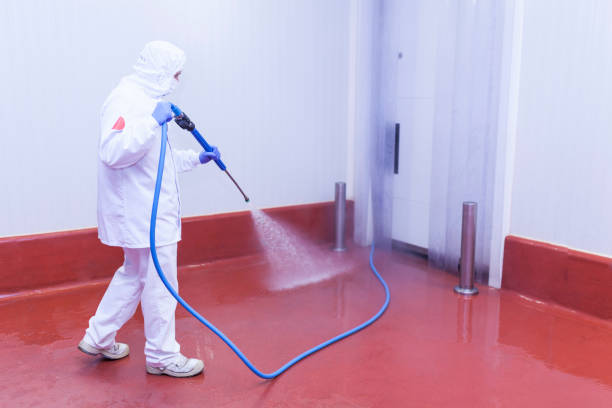 Best Sign and Awning Cleaning  in Waterville, MN