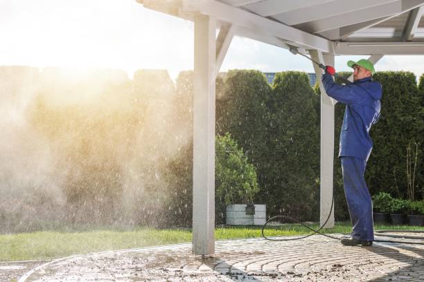 Best Animal Enclosure Cleaning  in Waterville, MN
