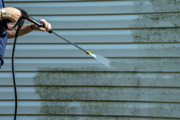 Best Sidewalk and Walkway Cleaning  in Waterville, MN